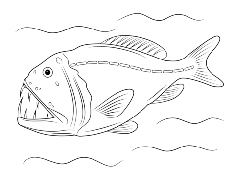 Fangtooth Fish Coloring Page